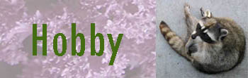 Hobby
